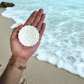 Plastic-free rice shampoo bar for strengthening and cleansing hair