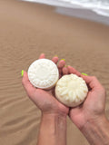 Handmade shampoo and conditioner bars with nourishing oils and butters